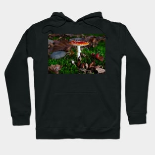 beautiful red toadstool on mossy forest floor Hoodie